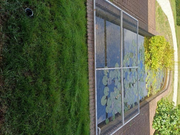 Afdeksysteem vijver, Tuin en Terras, Vijvers, Gebruikt, Ophalen
