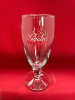 verre à bière Ginder Pale Ale Martinas, Collections, Enlèvement ou Envoi, Utilisé, Verre à bière