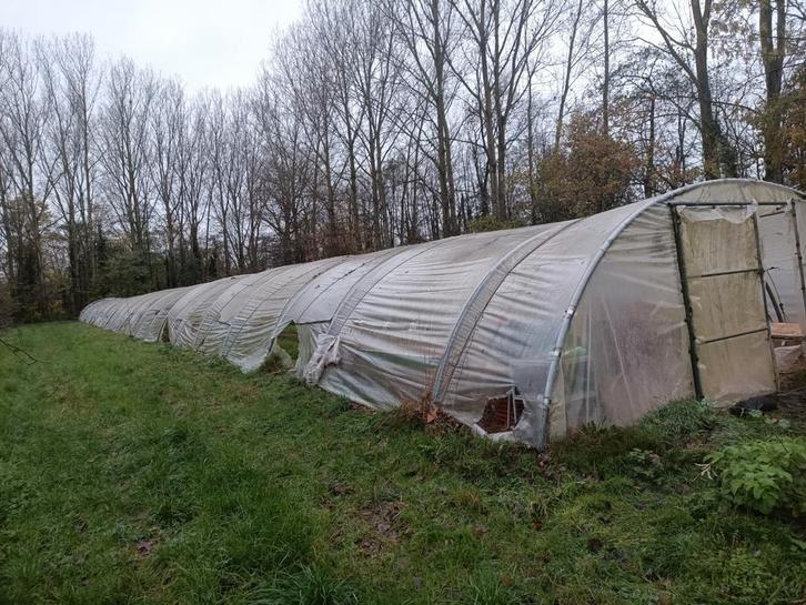 Gratis 2 plastieken tunnels., Tuin en Terras, Kassen, Ophalen