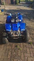 Yamaha Warrior 350, Motoren