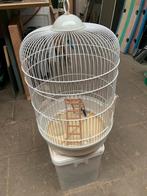 Kooi, Dieren en Toebehoren, Vogels | Hokken en Kooien, Ophalen, Zo goed als nieuw