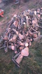 Bois de chauffage en hêtre à vendre. 75€/paloks, 3 à 6 m³, Enlèvement, Hêtre, Troncs d'arbres