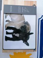 Luxe placemats onderleggers met puppy's, hondjes. Mars&More., Enlèvement ou Envoi, Neuf