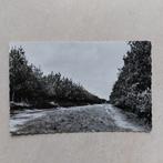 Oude postkaart van  Waasmunster : Heidezicht, Enlèvement ou Envoi