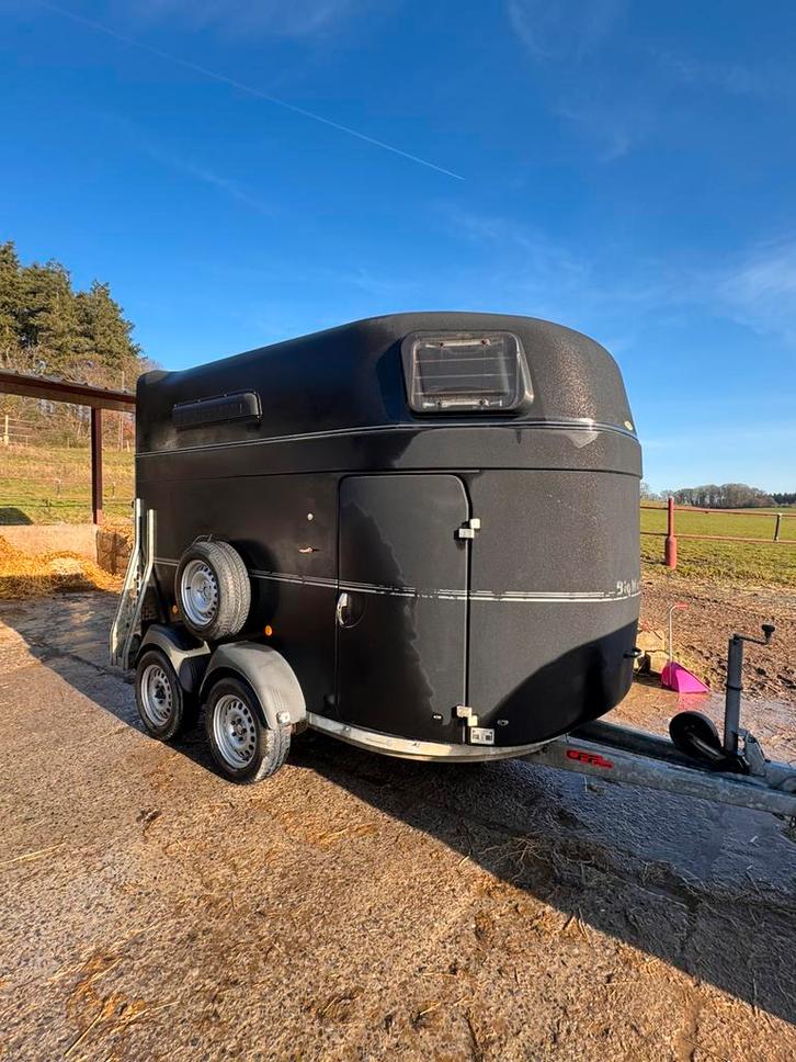 Van 2 chevaux Bockmann Big Master, Animaux & Accessoires, Chevaux & Poneys | Semi-remorques & Remorques, Utilisé, Remorque 2 chevaux