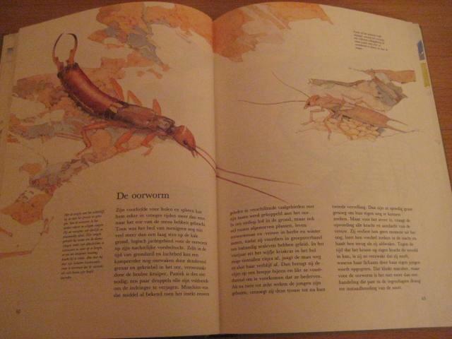 Leerrijk dierenboek ”Dieren in en om het huis”, Boeken, Dieren en Huisdieren, Zo goed als nieuw, Overige diersoorten, Ophalen of Verzenden