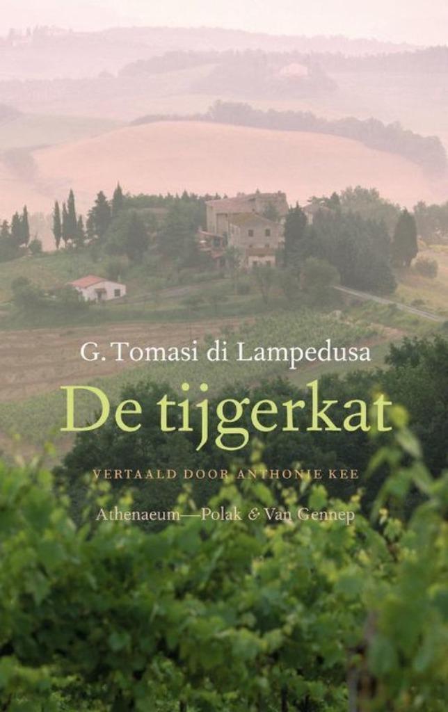 Te Koop Boek DE TIJGERKAT G.Tomasi di Lampedusa, Boeken, Romans, Zo goed als nieuw, Europa overig, Ophalen of Verzenden