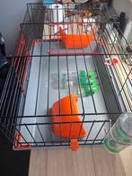 Flamingo mobi., Enlèvement