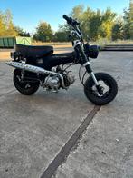 Dax Classe B avec papiers, Enlèvement, Comme neuf