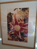Schilderij speciale techniek  geen afdruk 52/42 kader inbegr, Ophalen