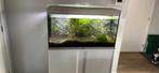 Aquarium, Ophalen, Gebruikt, Leeg aquarium