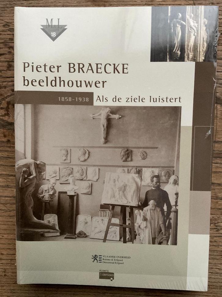 Pieter Braecke beeldhouwer, Boeken, Kunst en Cultuur | Beeldend, Nieuw, Beeldhouwkunst, Verzenden