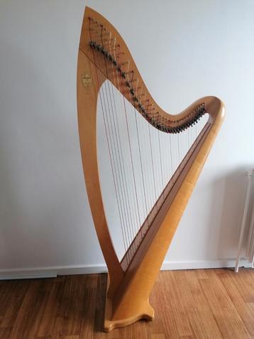Lyon & Healy Troubadour VI (cœur valvulaire), Enlèvement