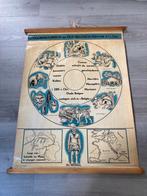 Schoolkaart Voorhistorisch België, Ophalen of Verzenden, Geschiedenis