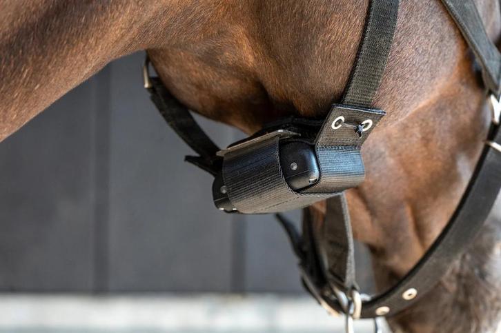 Birth alarm premium plus te huur, Dieren en Toebehoren, Paarden