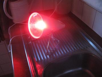 vintage infrarood lamp philips infraphil voor spierpijn, Enlèvement