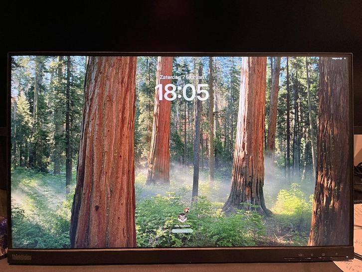 Lenovo P24q-20 Monitor, Computers en Software, Monitoren, Zo goed als nieuw, 60 Hz of minder, DisplayPort, HDMI, USB-C, Hoofdtelefoonaansluiting