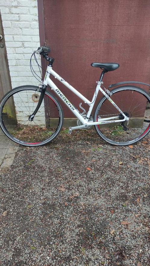 Koersfiets voor dames Eddy Merckx, Fietsen en Brommers, Fietsen | Dames | Sportfietsen en Toerfietsen, Gebruikt, Ophalen