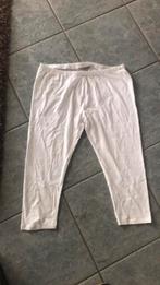 Legging maat xxl, Ophalen of Verzenden, Zo goed als nieuw, Legging