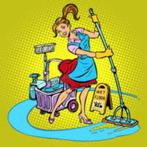 Gediplomeerde huishoudster/huishoudhulp, Diensten en Vakmensen, Wassen