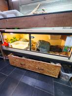 Herptek terrarium 150x70x50 équipé ou pas ., Enlèvement, Utilisé, Terrarium ou Paludarium