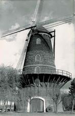 Sint-Pauwels - Roomansmolen, Verzamelen, Postkaarten | België, Verzenden, 1980 tot heden, Ongelopen, Oost-Vlaanderen