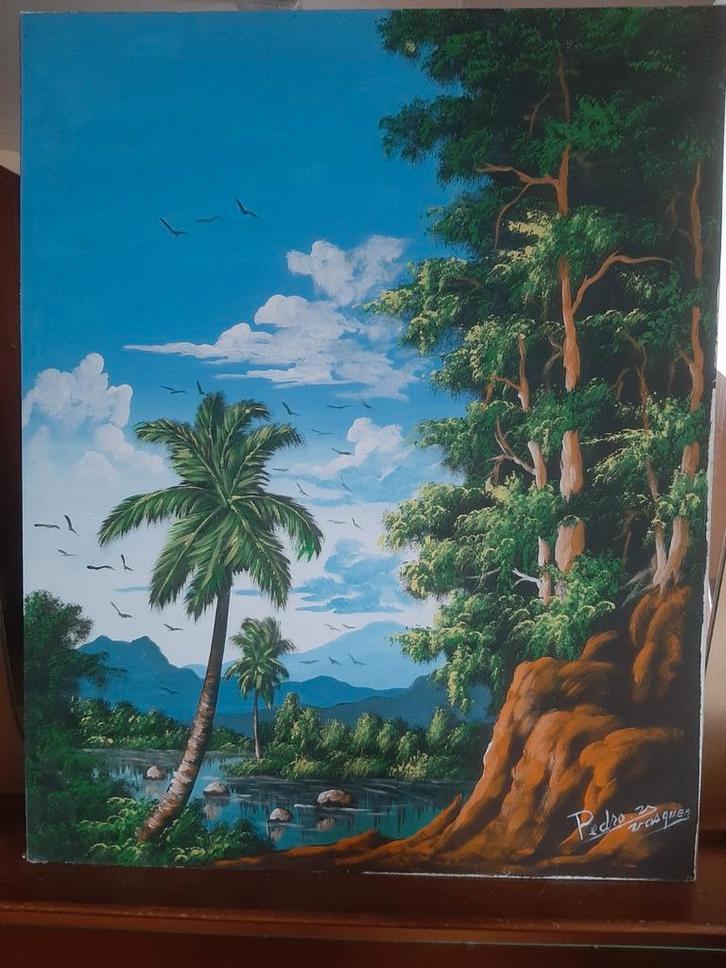 Tropisch schilderij Pedro Vásquez Puerto Plata 48x60 cm, Antiek en Kunst, Kunst | Schilderijen | Klassiek, Ophalen