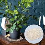 Set van 4 vintage geborduurde tafellopers SNELLE GRATIS LEVE, Huis en Inrichting, Verzenden, Nieuw, Rond