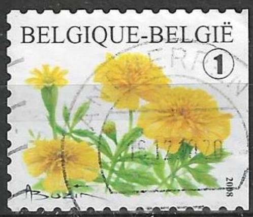 Belgie 2008 - Yvert 3767 /OBP 3785a - Afrikaantje (ST), Postzegels en Munten, Postzegels | Europa | België, Gestempeld, Gestempeld