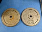 Musculation disques 2x20 kg fonte, Sport en Fitness, Fitnessmaterialen, Ophalen, Zo goed als nieuw, Halterschijven