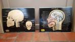 2 didactische platen ASLK - oude schoolplaten -hoofd/schedel, Antiek en Kunst, Natuur en Biologie, Ophalen of Verzenden