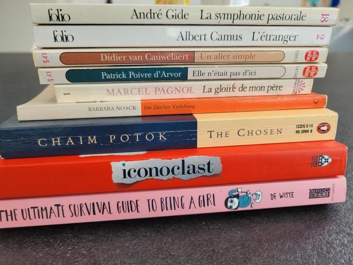 Anderstalige boeken 2€/boek of goed bod, Boeken, Overige Boeken, Gelezen, Ophalen of Verzenden