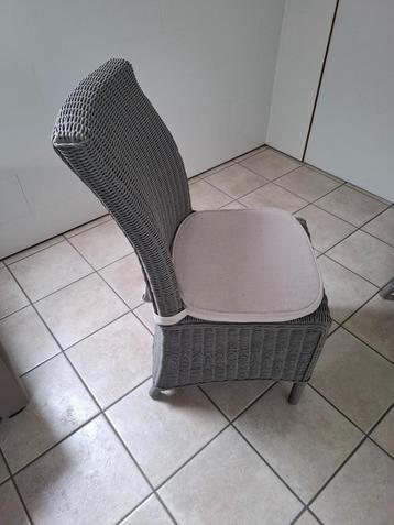 Rotan eetkamerstoelen, Gris, Osier ou Rotin, Comme neuf, Enlèvement