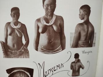 Indigènes État Indépendant du Congo livre 1500 photos  beschikbaar voor biedingen