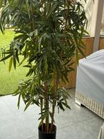 Kunstplant plus minus 180 cm groot, Ophalen