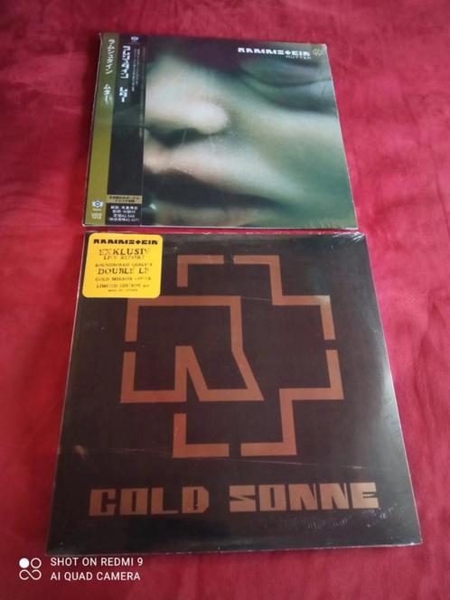 SIN89 / Depeche mode / Rammstein, CD & DVD, Vinyles | Autres Vinyles, Comme neuf, 12 pouces, Enlèvement ou Envoi
