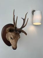 Mooi reekopje, Huis en Inrichting, Ophalen, Gebruikt