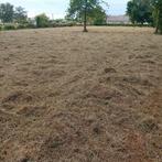 Vers hooi te koop – 40 are grasland