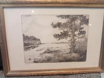 VICTOR BUYS beschikbaar voor biedingen