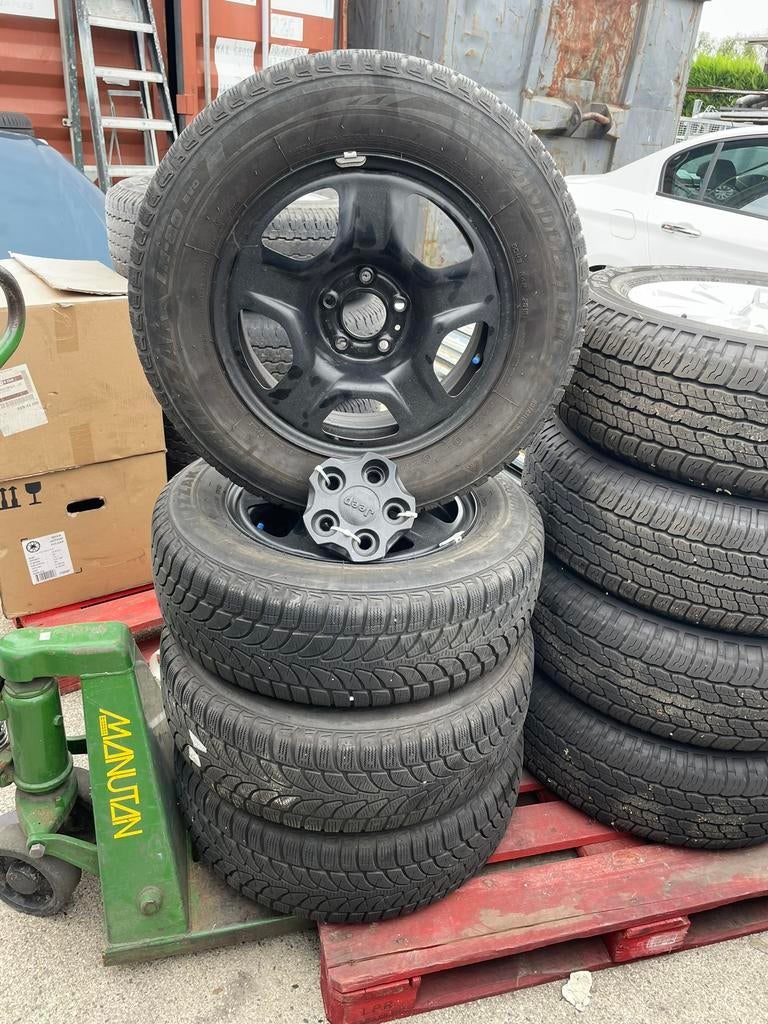 Jeep Renegade winterwielen 215/65 R16 98H, Ophalen