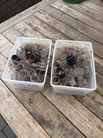 Feederkorfjes, Watersport en Boten, Hengelsport | Witvissen, Ophalen, Zo goed als nieuw