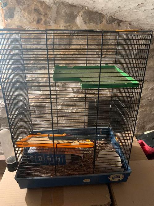 Cage à oiseaux noire – 50 x 40 x 25 cm, Dieren en Toebehoren, Vogels | Hokken en Kooien, Zo goed als nieuw, Vogelkooi, Metaal