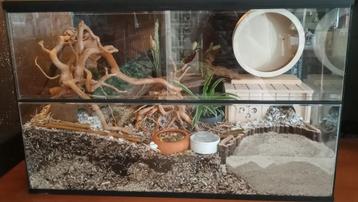 Glazen Hamsterkooi – Ruim Terrarium voor Hamsters beschikbaar voor biedingen