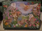 puzzel 1000 falcon = zie mijn vele andere en info=, Enlèvement ou Envoi, Comme neuf