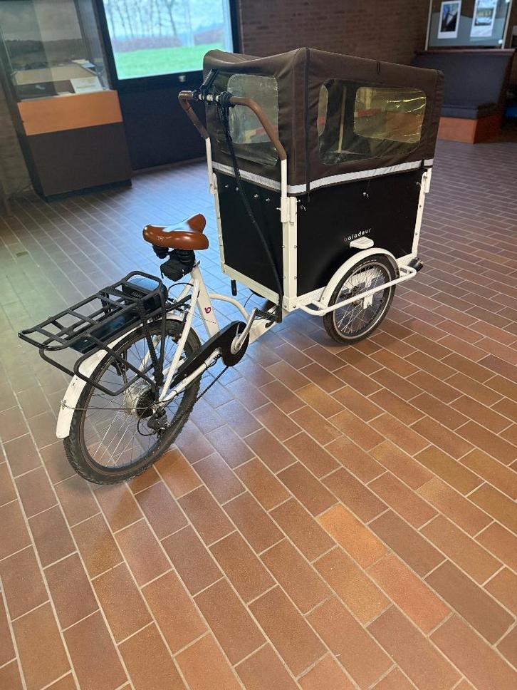 Cargo bike électrique professionnel – Triporteur Baladeur x3, Vélos & Vélomoteurs, Vélos électriques, Utilisé, Autres marques