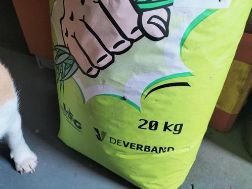 robuuste weidegraszaden per kilo, Tuin en Terras, Bloembollen en Zaden, Zaad, Gehele jaar, Ophalen of Verzenden