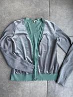 Gilet gigue 36, Ophalen of Verzenden