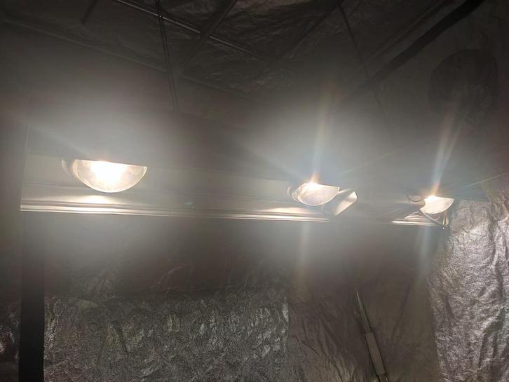 LED groeilampen armaturen growlights 240W, Doe-het-zelf en Bouw, Bouwverlichting, Nieuw, Armatuur, 200 tot 500 watt, Ophalen