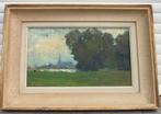 huile sur toile paysage signe maurice de meyer, Ophalen of Verzenden