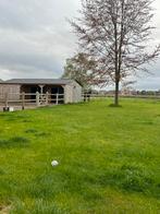 Paardenstallen met wei te huur, 2 of 3 paarden of pony's